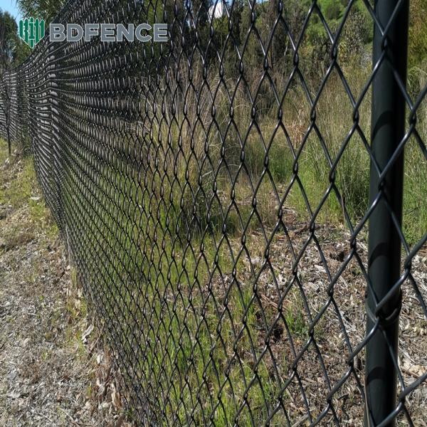 Village Road Chain Link  Fence Livestock