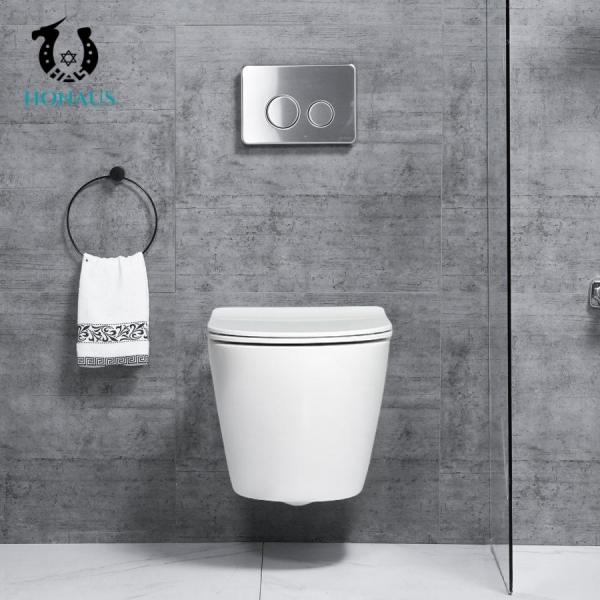 ROHS European Wall Mounted Toilet Bowl