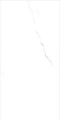 Four Face Infinite Continuous Pattern  Stone Look Porcelain Tile 600x1200mm WY61201