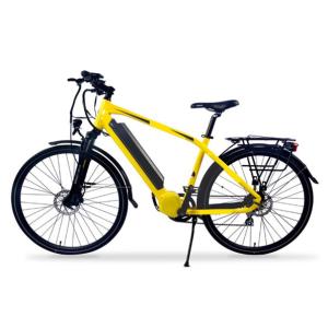 Electric Bicycle