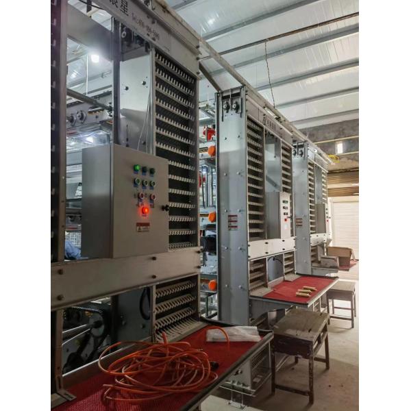Hot Galvanized H Type Layer Cage with Automatic Feeding for Large Poultry Farm Projects