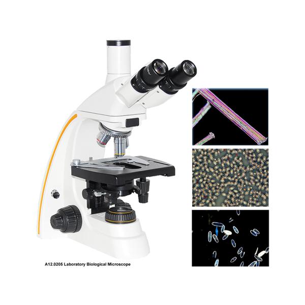 ocular binocular del microscopio biológico A12.0205 WF 10X de la lámpara del halógeno de 12V 20W