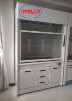 Full Steel Automatic Lifting Dropping Doors  Laboratory Fume Hood Solutions  for Low-Noise Work Environment Noise Level≤60dB Airflow 100m3/h