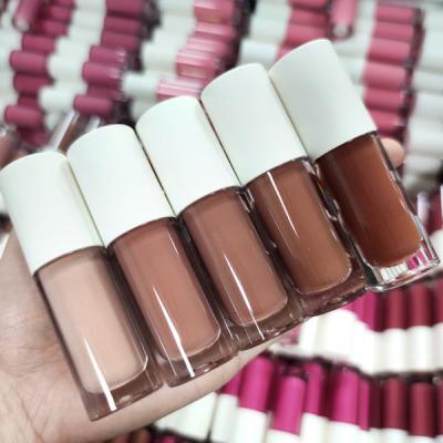 Nude Skin 3 Years Shelf Paraben Free Glossy Lip Gloss ISO22716
