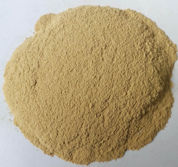 Bacterial Protein Supplement Amino Acids  Promote Growth For Aquatic, Poultry, And Ruminant Animal Additives