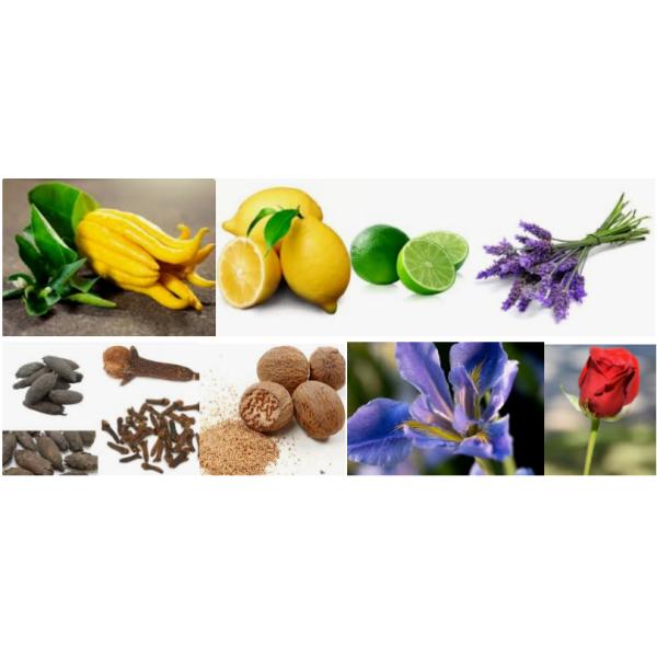 Extend Wear Dun Hill Fragrance Oil  For Perfume Making High Purity