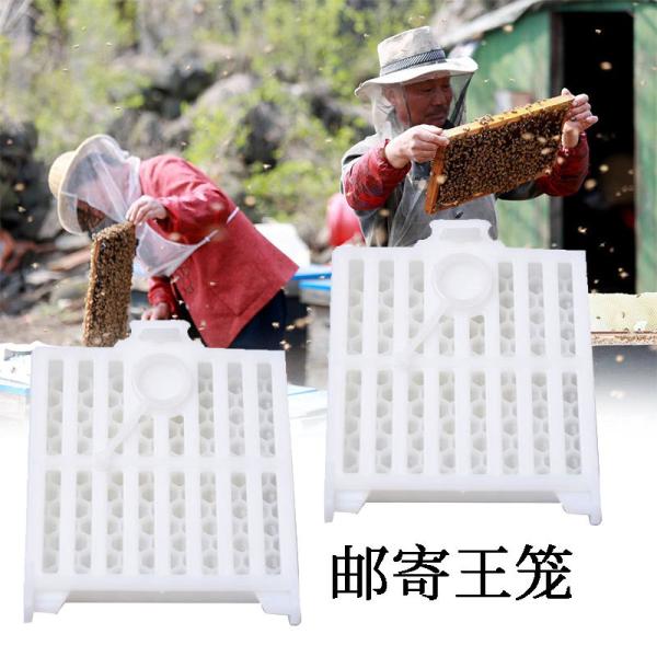 White Plastic Queen Cage Beekeeping Queen Rearing Beekeeping Equipment
