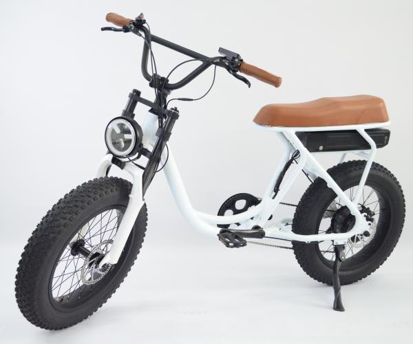 20*4.0 Fat Tire Electric Assisted Bicycle for laday women madam