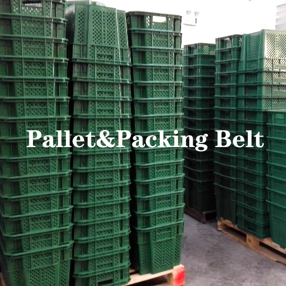 Решение для хранения конвертов для экспресс-доставки Документы и архивы Внутренний размер 485*285*310 мм