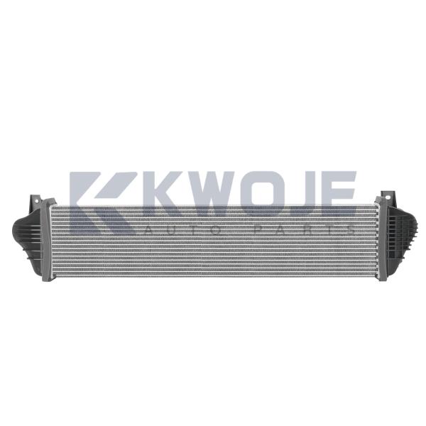Automotive Cooling Systerm Intercooler Tank Auto Evaporator Cooler 302000800AA For Chery Auto Spare Parts Exeed RX
