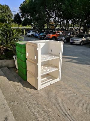 Molde moldando rotatório para o trole de linho plástico