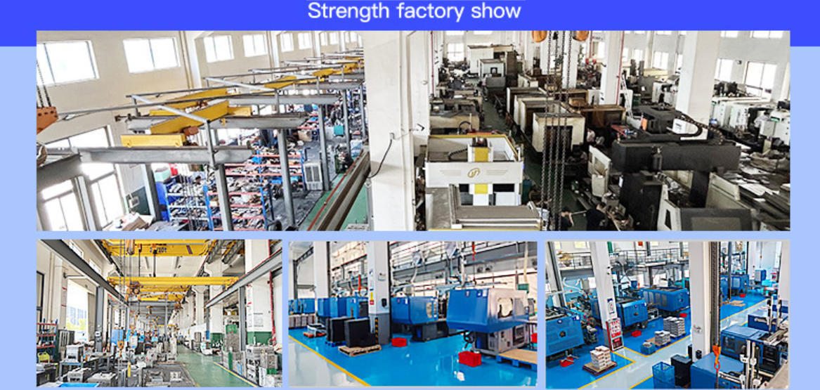 Professional Plastic Injection Mould Pet Tray Injection Mold OEM/ODM Services