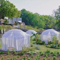 Eventos de 360 grados Cúpulas geodésicas impermeables Casa Resistencia a los rayos UV Estrella PC Iglu de brillo