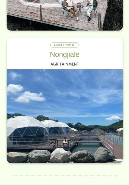 Custom 6m Transparent Starlight Camping Tent with Bathroom