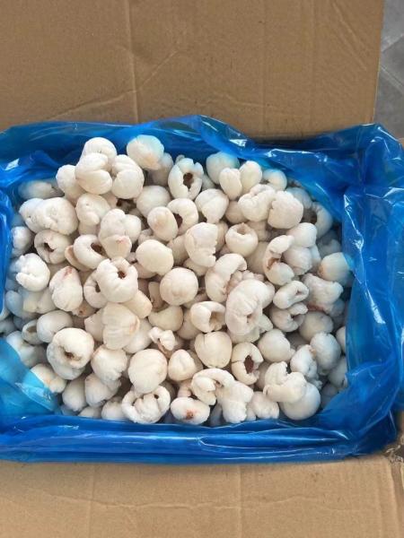 Frozen Whole Peeled Lychee in Bulk Carton Packaging IQF Sweet Tasted Lichee Fruit with Mango Variety of Preserved Fruits