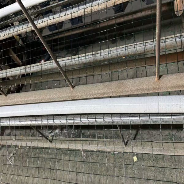 PVC Coated New Euro Holland Wire Mesh Price Welded Wire Mesh Fence Plastic Coated Welded Wire Mesh Roll
