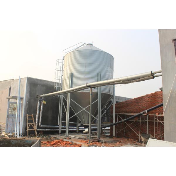 Cuadro de acero galvanizado, tornillos de casita de pollo, conexión, estructura de acero, corral de aves de corral