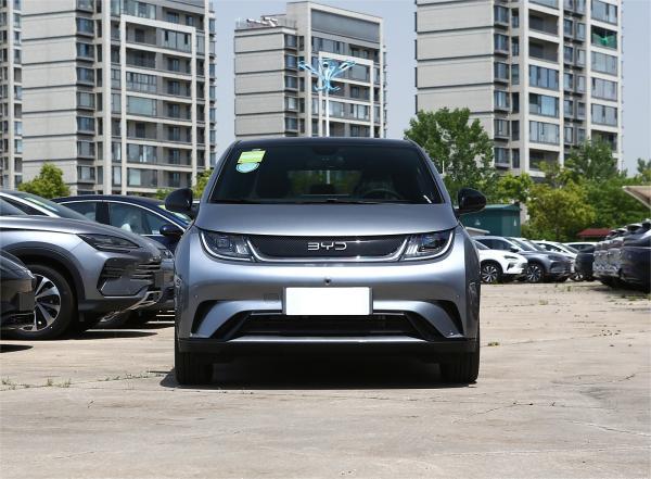 100-200Nm MINI Car 2024 BYD Dolphin Fashion Edition 420km Range Blade Battery