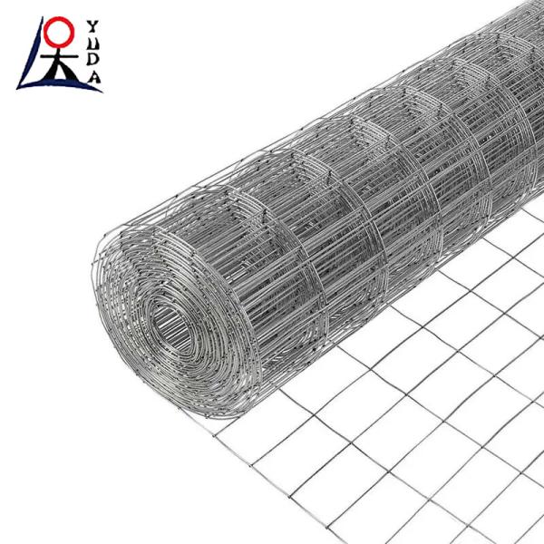 Galvanized Welded Wire Mesh Fence Roll 2x2 Fine Wire Diameter