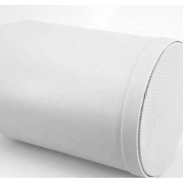 Altavoz colgante de 6 pulgadas 100V IP55 Altavoz colgante para exteriores 10W 20W