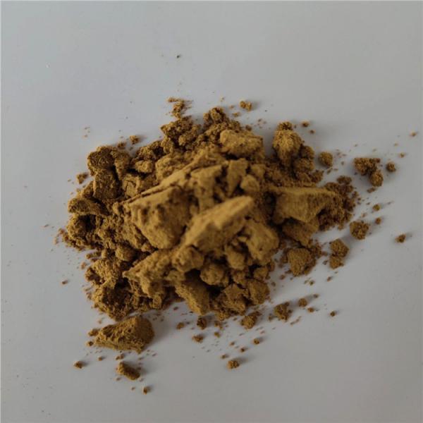 wholesale hydrangea root extract/dichroa febrifuga extract for tablets