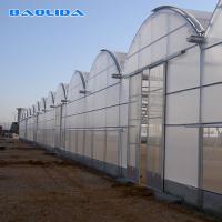 Promenade galvanisée en serre chaude multi en plastique d'envergure de Chambre de tunnel de Multispan 5.3m