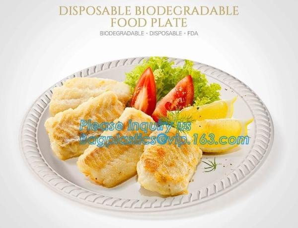 9inch Round White Dessert Bagasse Sugarcane Biodegradable Corn Starch Disposable Plate,Sugarcane Bagasse Plates bagease