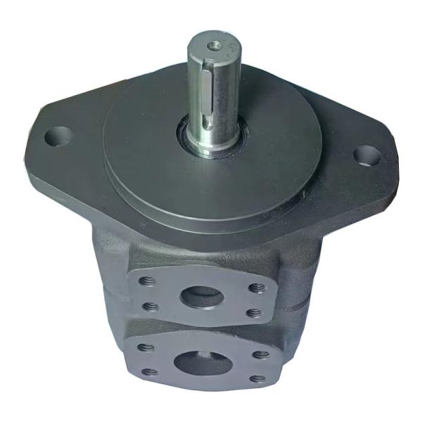 PVR50 Series Double Vane Hydraulic Pump Variable Displacement Vane Pump