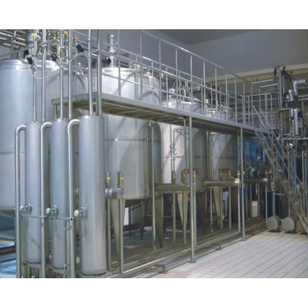 Separated Structure 3000L/H CIP Clean In Place Systems