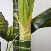 Artificial Golden Dieffenbachia Plant 43 Inch Tall Fake Tropical Lifelike Tree in Pot Silk Faux Dark Green Plant