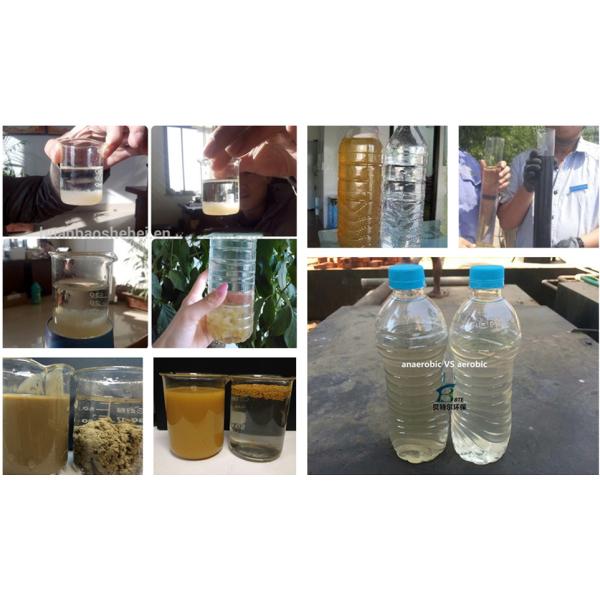 Деревянная упаковка Химическая обработка дозировки для домашней канализации