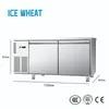 OEM ODM 150*60*80cm Commercial Air-Cooled Two-Door Refrigerator Refrigeration