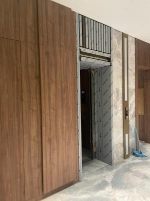 Revestimento Arquitetónico para Armário de Elevadores, Revestimento de Painéis de Parede Metálicos para Portas de Elevadores