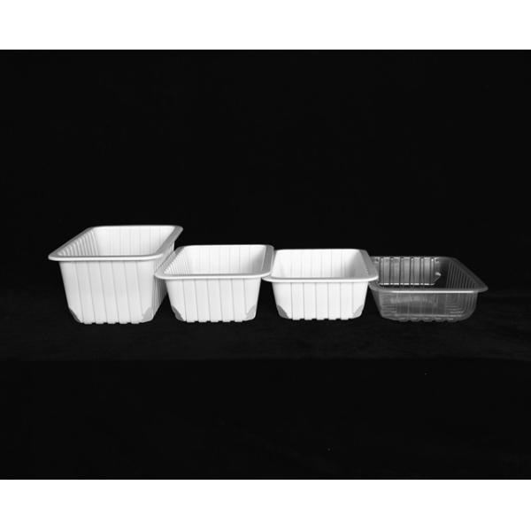260 X 170 X 110MM Disposable Food Trays With Lids 90 OZ Plastic Fast Food Tray