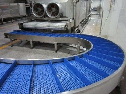                  Competitive Price Conveyor for Plastic Filled Bottles/ Filled Bottleschain-Plate Conveyor Belt             