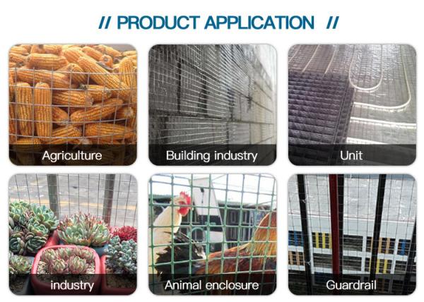 Galvanized Iron Wire Material Fence Welded Wire Mesh Rolls with Design 1/4-8 Aperture
