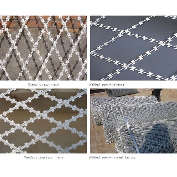 Galvanized Steel Welded Razor Wire Mesh With Blade Type BTO 12 22 30