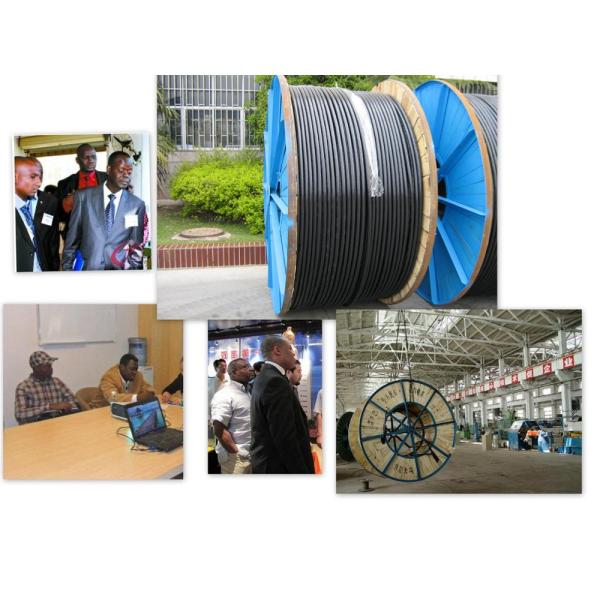 Construction Site 70mm2 Copper Conductor XLPE Insulation High Voltage 6KV Power Cable