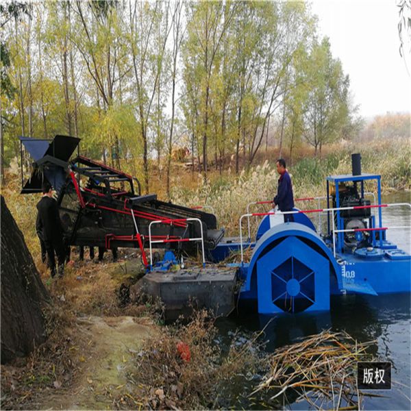 High Efficiency Aquatic Weed Harvester with Paddle Wheel Drive and 2000 m³ Capacity