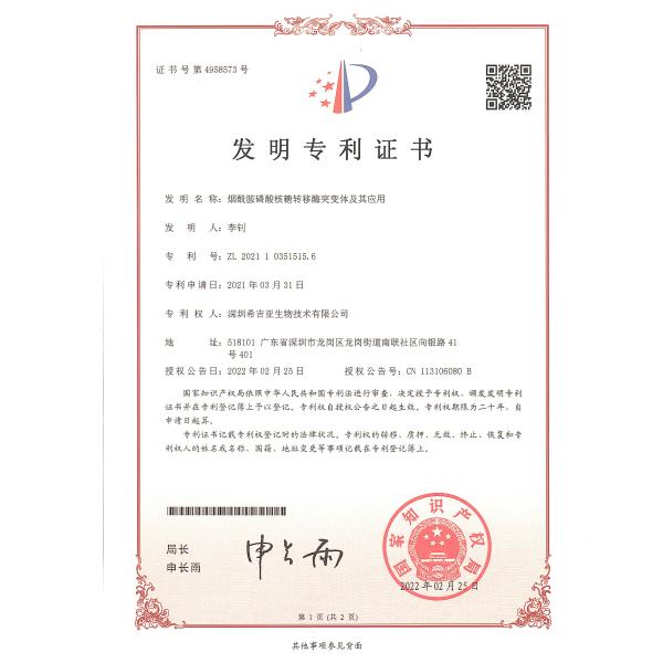 Sealed Storage Spermidine Powder CAS 124-20-9 For Bulk And Light Protection