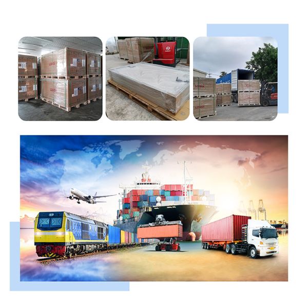 Longi Quality Colorful Packaging Customization Machine 445 Watt Panel Solar Panels Photovoltaic With 30pcs