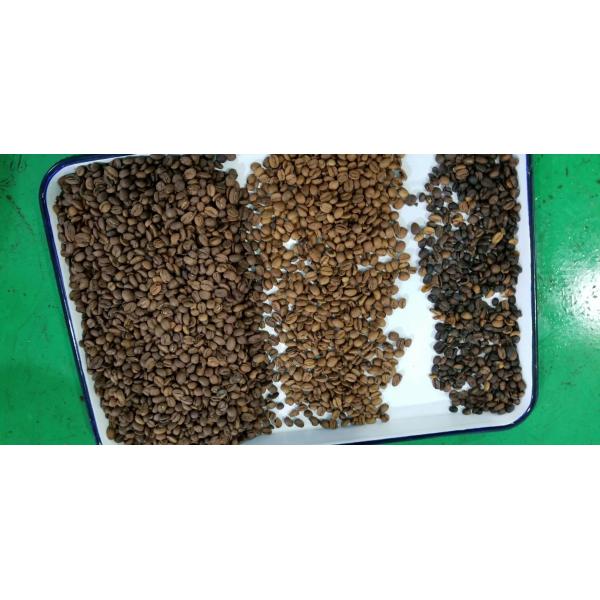 High Capacity 5400 Pixels CCD Camera Coffee Beans Color Sorter Sorting Separator Machine