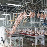Equipo de la avicultura de SS304 2000birds/H para matar la aprobación de SONCAP