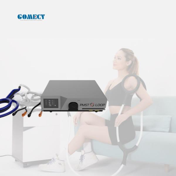 GOMECY 2 In 1 PEMF LOOP Human And Horses PMST LOOP PRO MAX Equine Physiotherapy Products For Body Pain Relief Equine