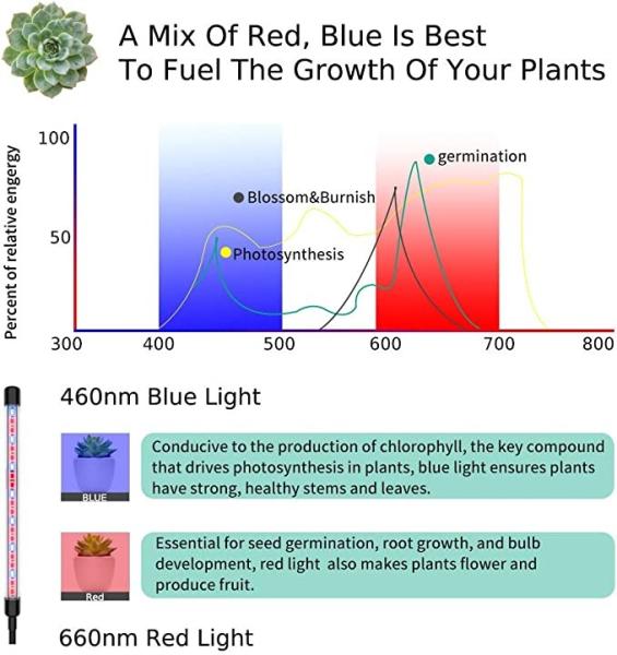 Flexible Goose Neck 30w Grow Light Indoor With Auto Timer