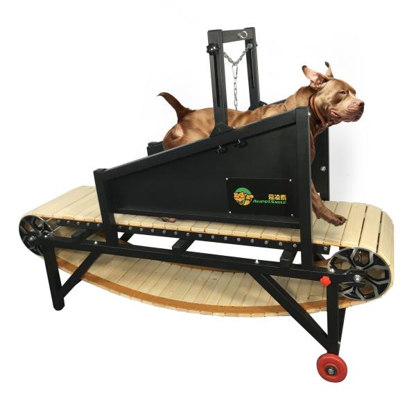 Canine Running Slatmill Machine Keep Your Large/Medium Dog Healthy and Active Indoors