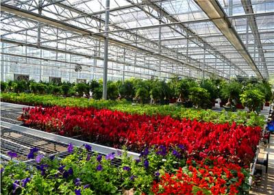 Silver Color Garden Glass Greenhouse With Enhanced Insulation Performance