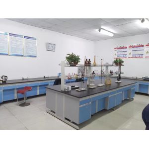 Dongying Linguang New Material Technology Co., Ltd.