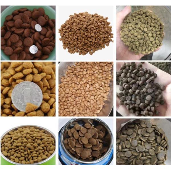 Кукуруза и соя Сухой тип экструдер для кормов для рыб Сухое экструзионное оборудование 80 кг/ч