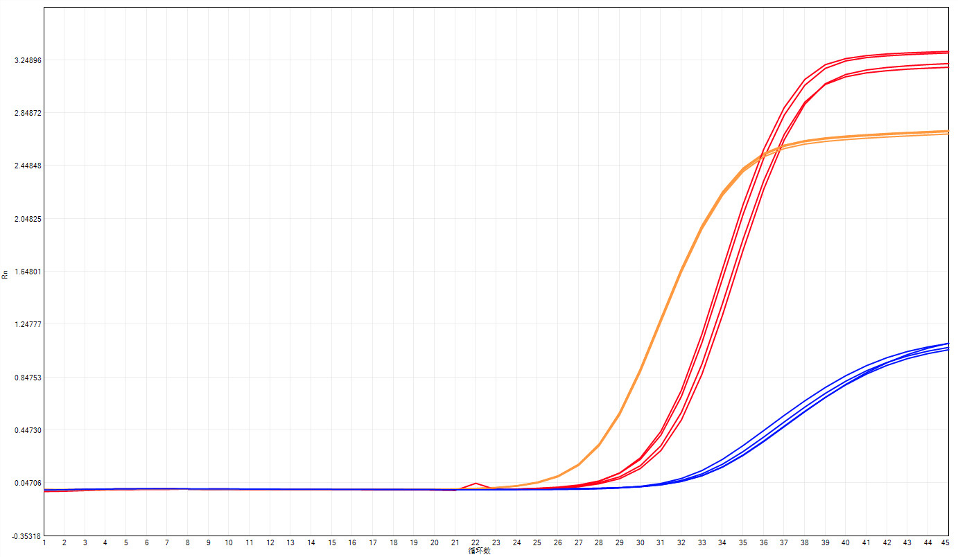 HS Probe qPCR Mix для ПЦР ДНК в реальном времени